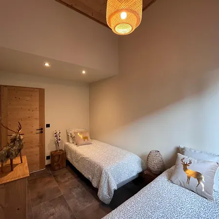 Cosy Pieds Des Pistes Apartment Les Houches